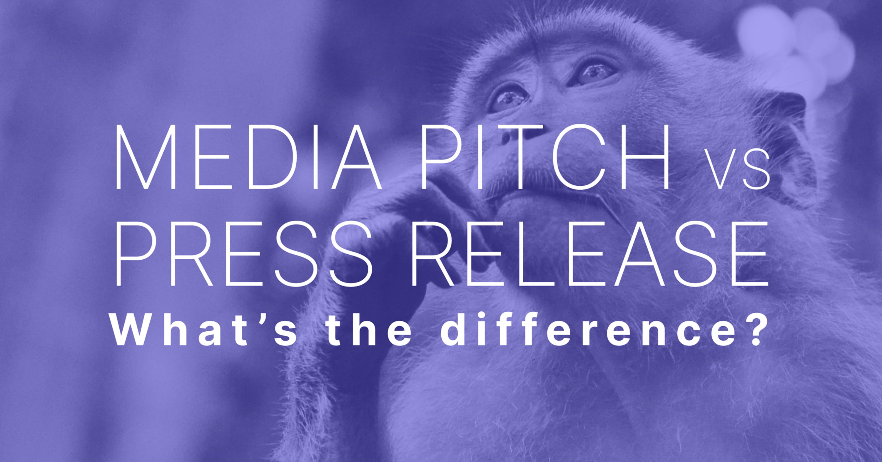Media Pitch vs Press Release: What’s the Difference?